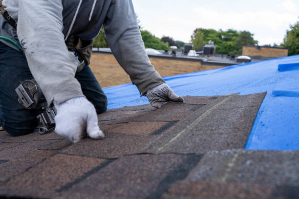 Best Commercial Roofing Services  in Lake View, AL