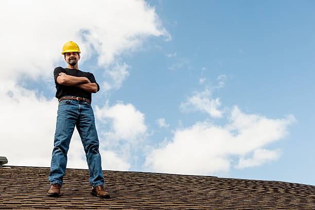 Roof Gutter Cleaning in Lake View, AL
