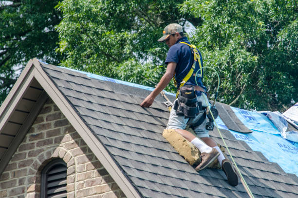 Quick and Trustworthy Emergency Roof Repair Services in Lake View, AL